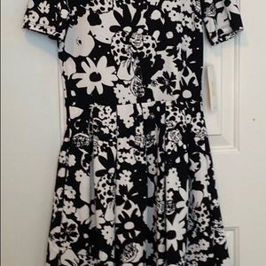 NWT LulaRoe Amelia dress XS Disney
